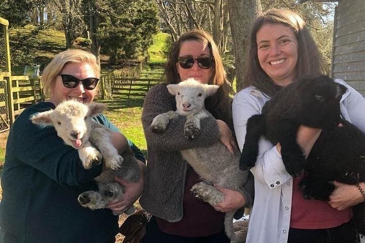 Hands-On New Zealand Sheep Farm Experience with Handmade Wool Hat (North Island) photo 4