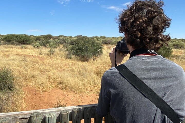 Half-Day Predator Feeding at Naankuse: Cheetahs, Leopards & Lions Near Windhoek