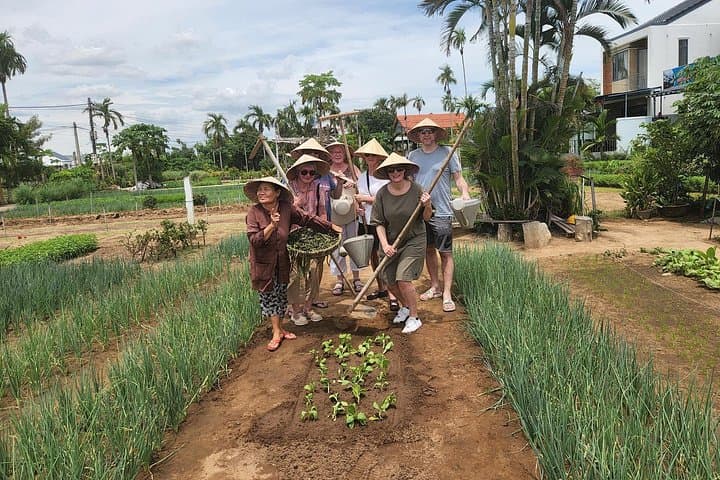 Hoi An Village Immersion: Pottery, Farming, Bamboo Basket Boat & Buffalo Ride photo 1
