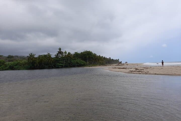 Choco Adventure Tour: Organic Cocoa Farm Experience and Mendiguaca Beach Day from Santa Marta photo 5