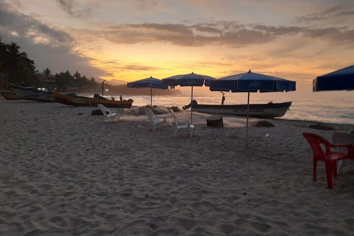 Choco Adventure Tour: Organic Cocoa Farm Experience and Mendiguaca Beach Day from Santa Marta photo 6