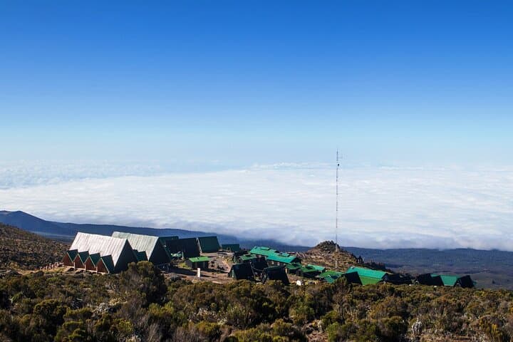 9-Day Lemosho Route via Northern Circuit — Kilimanjaro Summit Trek photo 4
