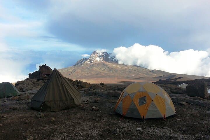 9-Day Lemosho Route via Northern Circuit — Kilimanjaro Summit Trek photo 5