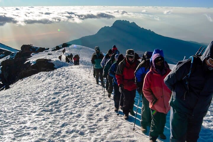 9-Day Lemosho Route via Northern Circuit — Kilimanjaro Summit Trek