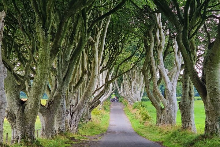 Giants Causeway Express: Private Half-Day Tour from Belfast photo 2