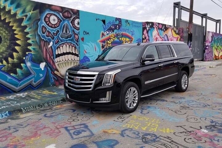 Wynwood Walls Private Tour: Explore Miami’s Street Art & Galleries photo 4