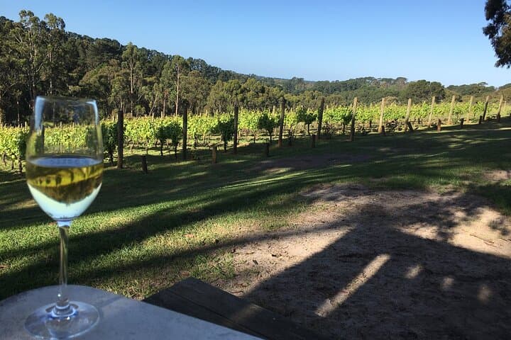 Private Swan Valley Wine Tour from Perth — 4-Winery Tasting Experience