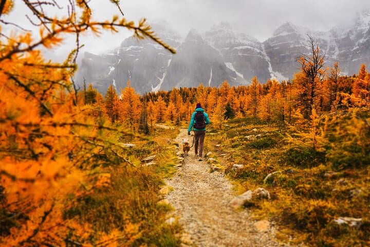 Larch Valley & Sentinel Pass: Moraine Lake Fall Hike from Banff