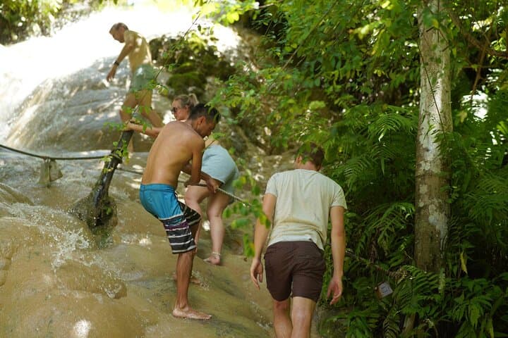 Climb Chiang Mai's Sticky Waterfall: Bua Tong Adventure & Cave Tour photo 3