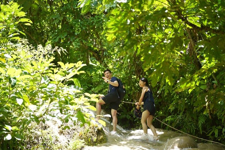 Climb Chiang Mai's Sticky Waterfall: Bua Tong Adventure & Cave Tour photo 6