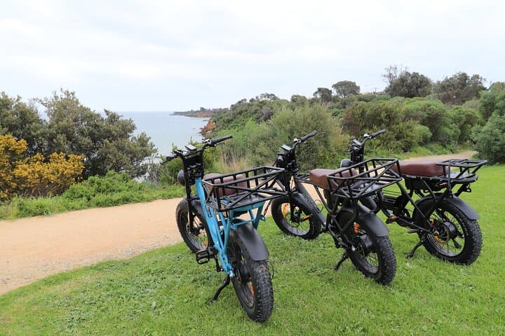 Fat-Tyre E‑Bike Rentals on Melbourne’s Bay — Brighton Beach Ride