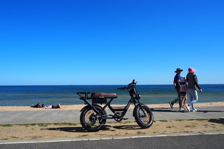 Fat-Tyre E‑Bike Rentals on Melbourne’s Bay — Brighton Beach Ride photo 3