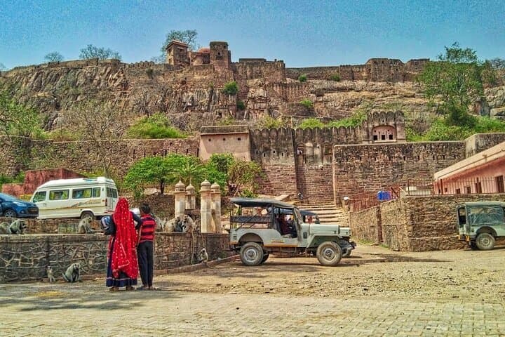 Golden Triangle India Tour with Ranthambore Tiger Safari from Delhi photo 3
