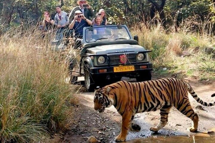 Golden Triangle India Tour with Ranthambore Tiger Safari from Delhi
