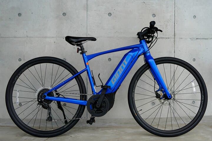 Omishima Electric E‑Bike Loop: Shrines, Art Museums and Coastal Views in 6 Hours photo 3