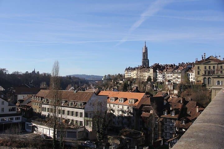 Zurich to Interlaken and Grindelwald — Private Full-Day Scenic Alps Drive photo 3