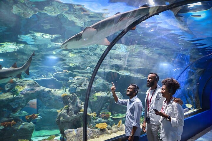 Explore Odysseo Oceanarium Mauritius: Port Louis Aquarium Tickets & Visitor Guide photo 6