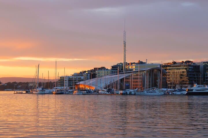 Oslofjord Sightseeing Cruise: Electric Panorama from City Hall to Bygdøy photo 2