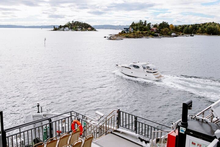 Oslofjord Sightseeing Cruise: Electric Panorama from City Hall to Bygdøy photo 6