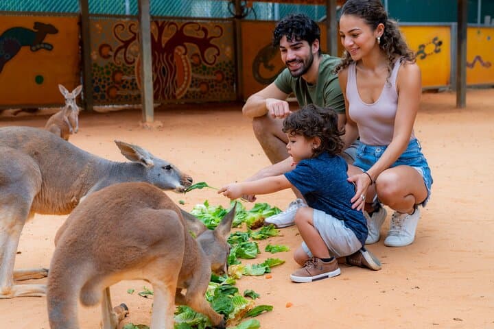 Exploring San Antonio Zoo: A Wild Adventure Through Conservation and Animal Encounters photo 6