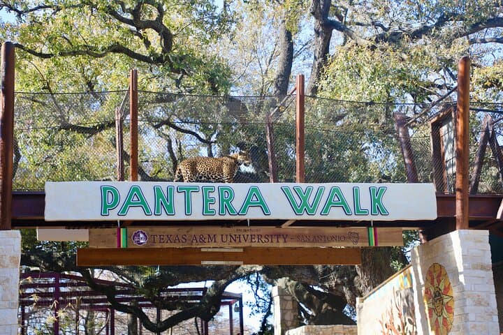 Exploring San Antonio Zoo: A Wild Adventure Through Conservation and Animal Encounters photo 4
