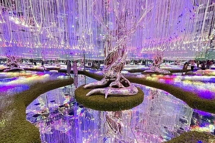 AYA Universe Dubai: Immersive Light & Digital Art Experience at Wafi Mall photo 4