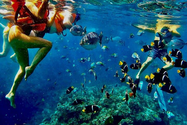 Stand-Up Paddleboard and Snorkeling at Los Arcos, Puerto Vallarta