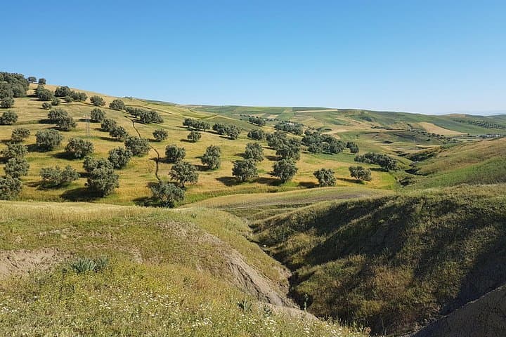 Ourika Falls Private Tour from Marrakech — Guide to Ourika Valley & Setti Fatma Waterfalls photo 4