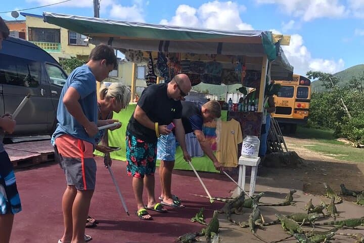 St. Maarten Island Sightseeing Tour with Beach — Maho, Marigot & Orient Bay photo 2
