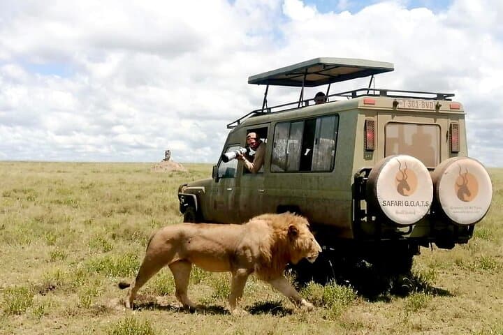 4-Day Safari through Tarangire, Serengeti & Ngorongoro Crater photo 3