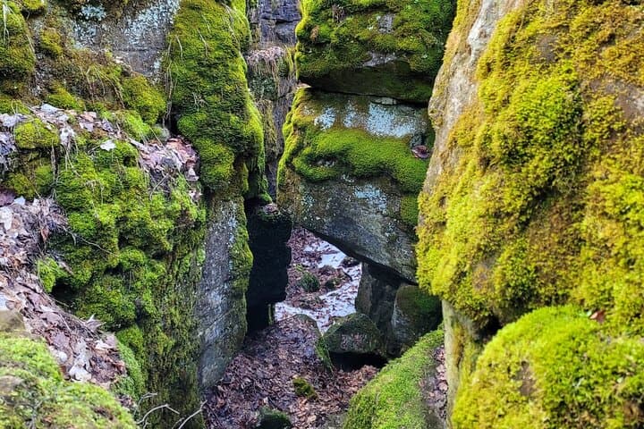 Singhampton Caves Hiking Tour — Private Guided Hike on the Niagara Escarpment photo 2