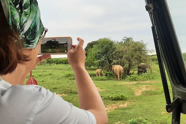 Yala Private Guided Safari — 4-Hour Leopard & Elephant Jeep Experience