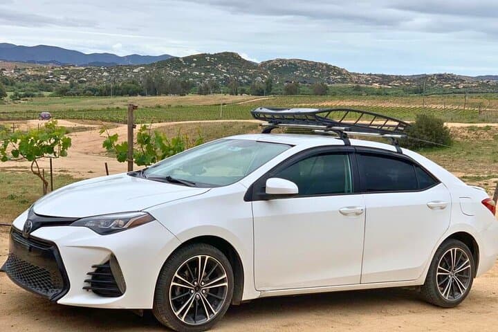 Valle de Guadalupe Private Full-Day Wine Tour from Tijuana photo 4