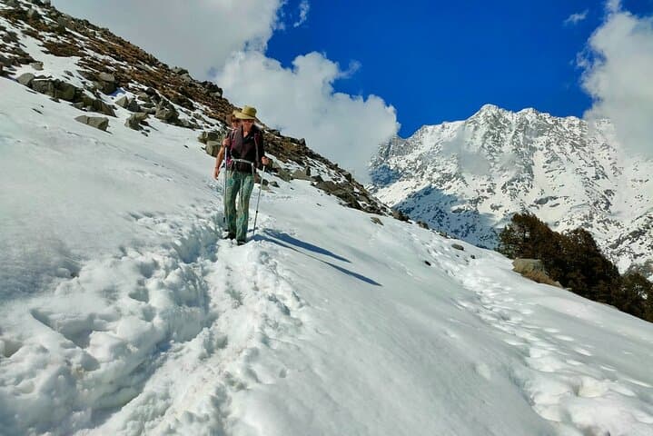 Dalai Lama Himalayan Trek — Dharamsala Multi-Day Trek to Snowline with Cultural Highlights