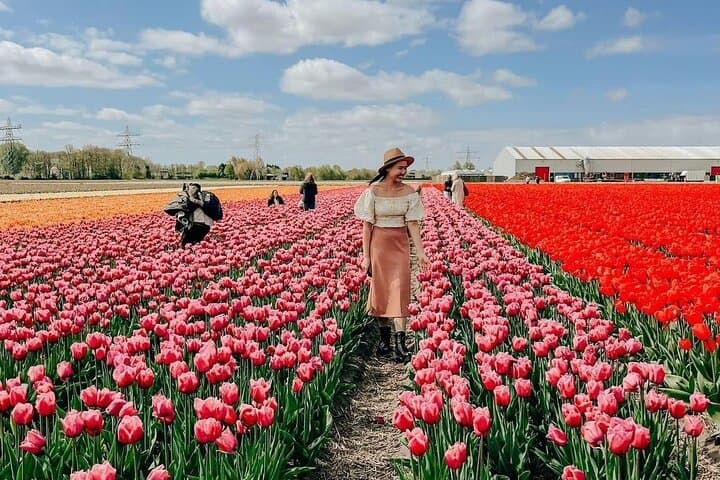 Keukenhof & Dutch Bulb Fields: Tulip Farm Visit + Windmill Cruise from Amsterdam photo 1