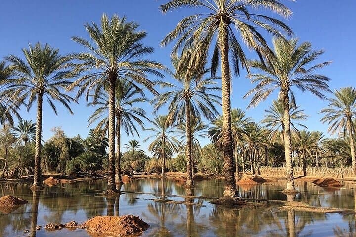 Ksar Ghilane & Chenini Tataouine One-Day Sahara Tour from Djerba photo 4