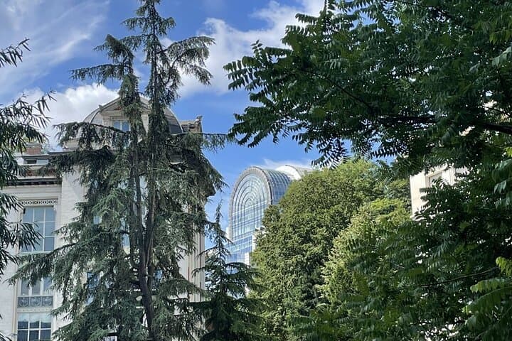 Private Walking Tour: Brussels European Quarter — Your Own Brussels photo 5