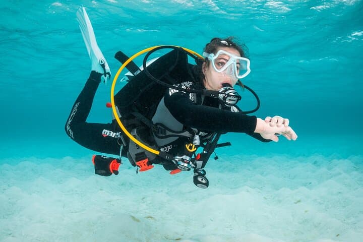 Try Scuba Diving in Madeira: Introductory Sea Dive Near Funchal