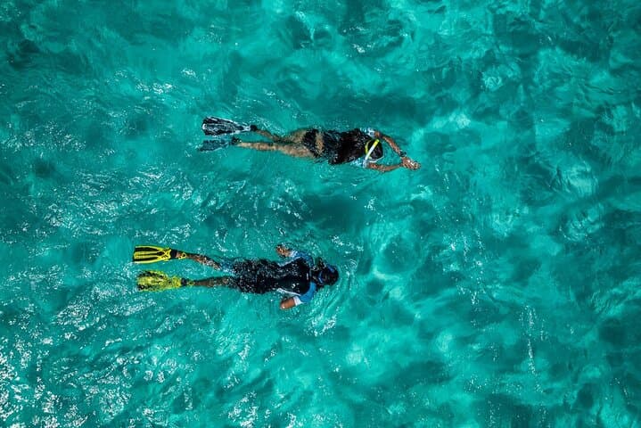 Snorkelling Ponta de São Lourenço: Madeira's Coastal Marine Safari photo 3