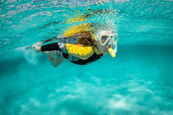 Snorkelling Ponta de São Lourenço: Madeira's Coastal Marine Safari photo 2