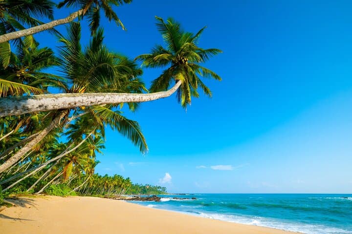 São Tomé Island Private 2-Day Nature & Culture Tour