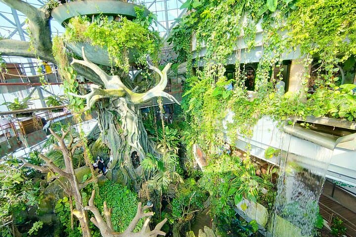 Inside The Green Planet Dubai: Indoor Rainforest Experience & Animal Encounters