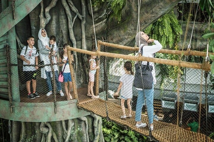 Inside The Green Planet Dubai: Indoor Rainforest Experience & Animal Encounters photo 2
