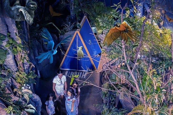 Inside The Green Planet Dubai: Indoor Rainforest Experience & Animal Encounters photo 4