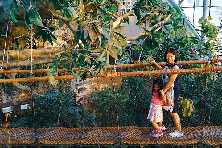 Inside The Green Planet Dubai: Indoor Rainforest Experience & Animal Encounters photo 6