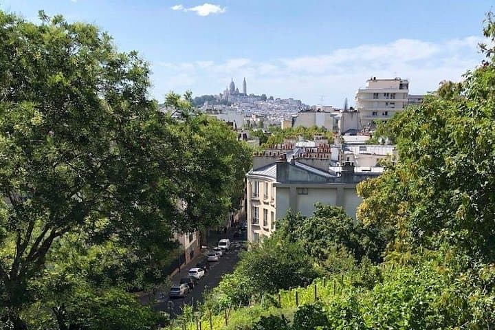 Guided Tour of Buttes-Chaumont Park: Paris Walking Tour & Local Secrets photo 2