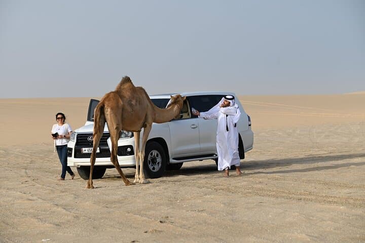 Qatar Sunrise-to-Sunset Desert Safari: Fast-Track Private Dune Drive & Inland Sea photo 2