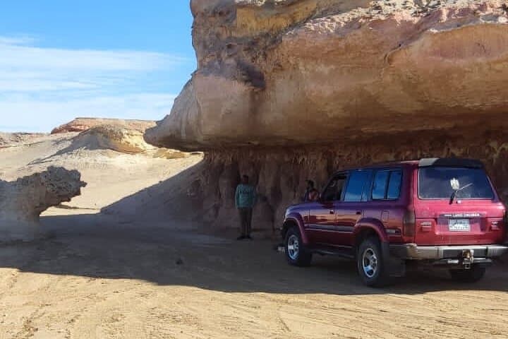 Day Trip to El Fayoum Oasis: Lake Qarun, Wadi El Rayan and the Valley of the Whales photo 2