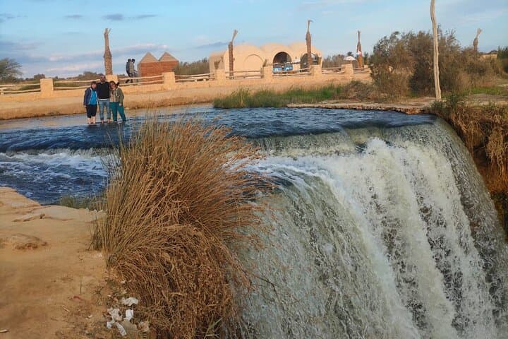Day Trip to El Fayoum Oasis: Lake Qarun, Wadi El Rayan and the Valley of the Whales photo 5