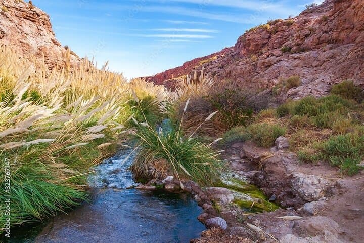 Puritama Canyon & Guatin Trekking — Canyon Walk, Hot Pools & Highland Culture from San Pedro de Atacama photo 2